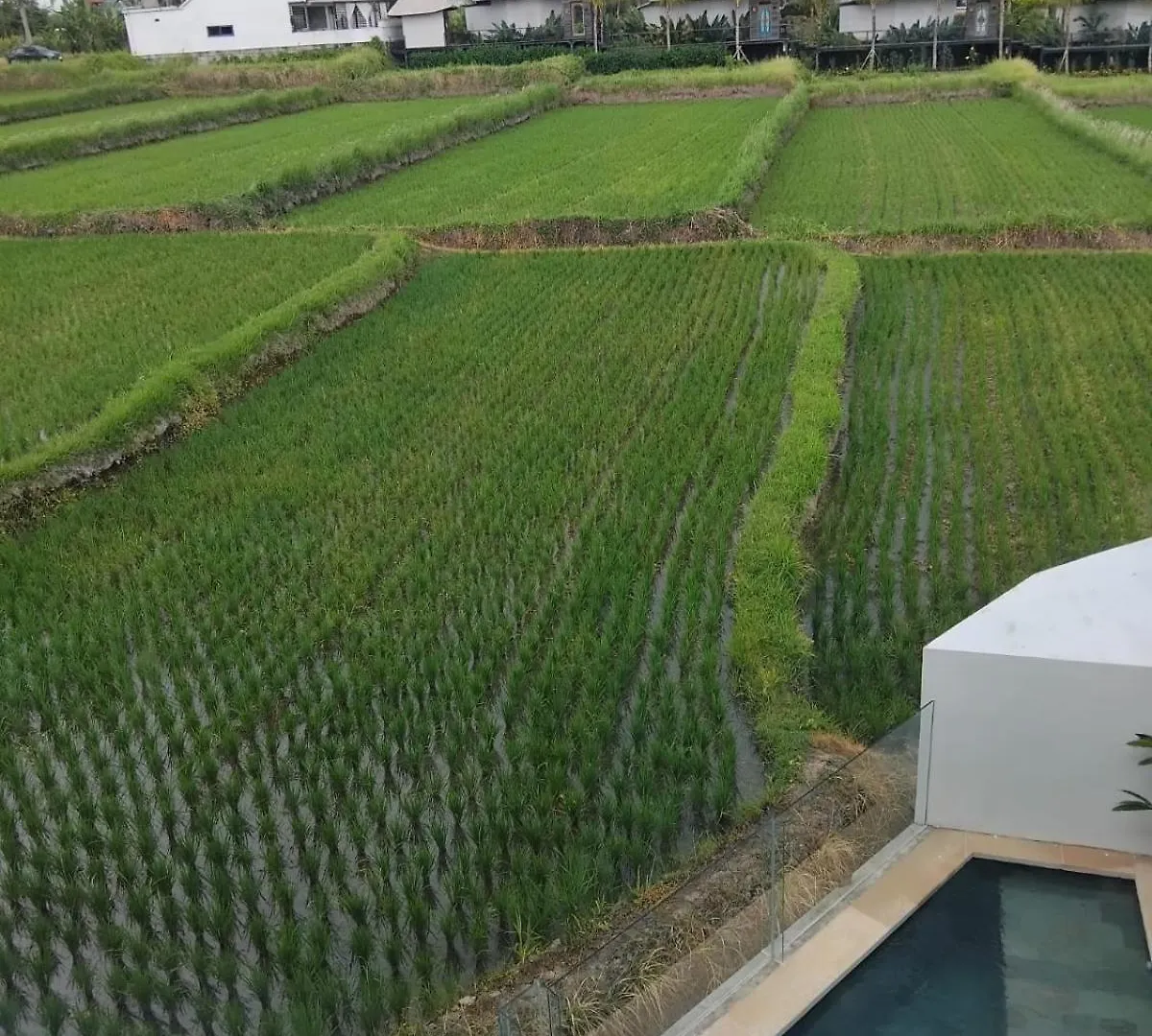 Sujiwa Ubud Hotel & Villa